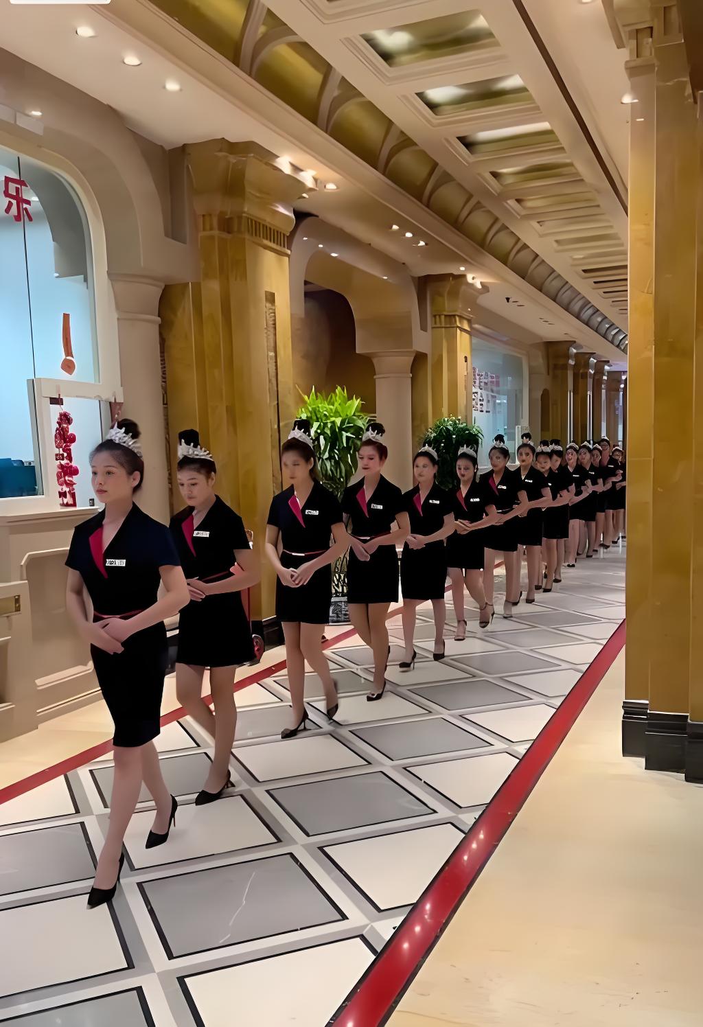 华纳公司客服经理团队